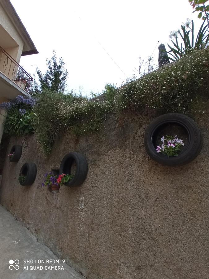 Casa Dos Grilos Penacova Exteriér fotografie