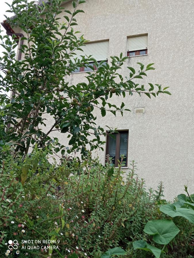Casa Dos Grilos Penacova Exteriér fotografie