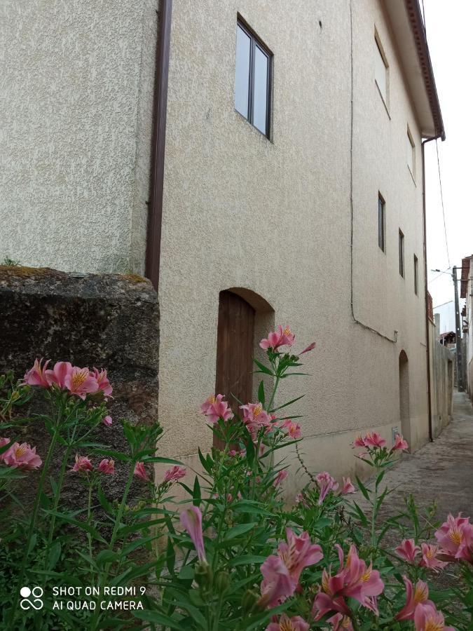 Casa Dos Grilos Penacova Exteriér fotografie