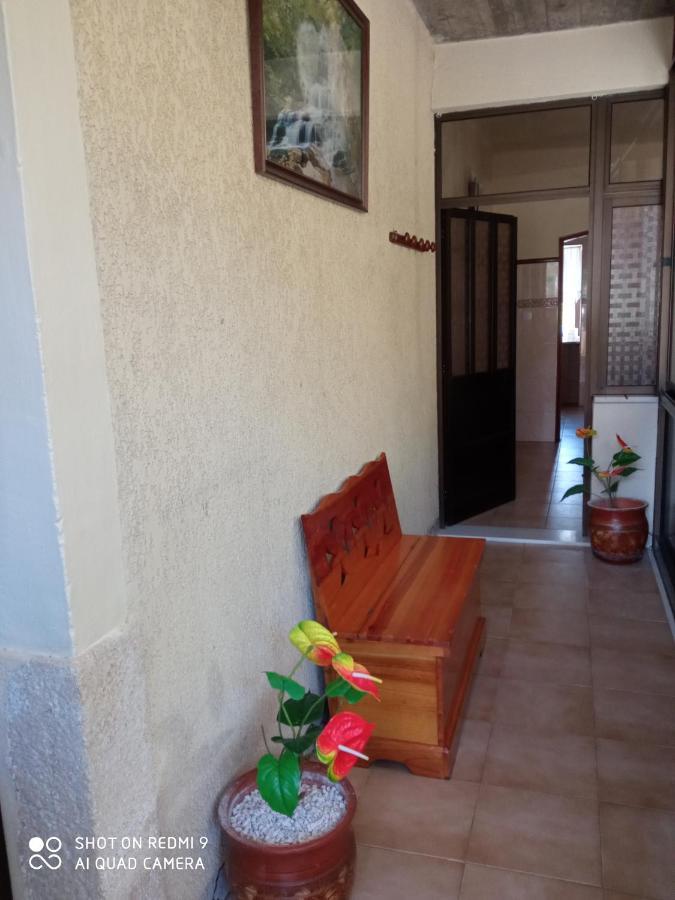 Casa Dos Grilos Penacova Exteriér fotografie